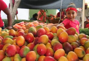 La Expo Mango 2022 será del 15 al 19 de junio en Baní...