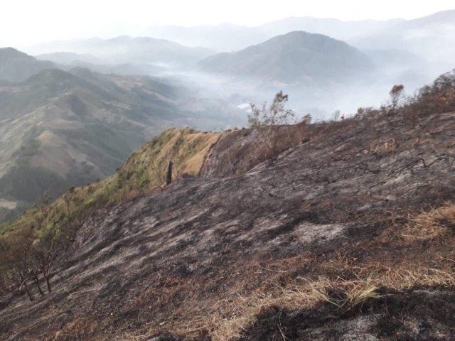Los daños que produjo el incendio en montañas de El Pinar 4