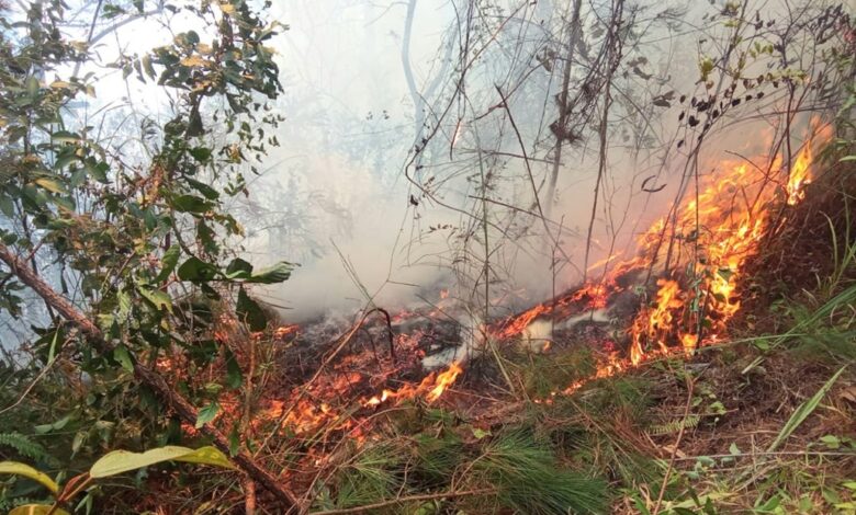 Medio Ambiente asegura elimina incendio forestal en zona El Rodadero, la Ciénaga de Ocoa