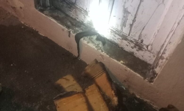 Bomberos de Ocoa sofocaron incendio provocado en Veterinaria D'Jorge; afectó alimentos