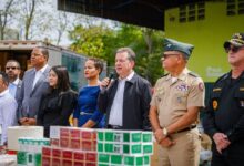 Incautan e incinera más de dos toneladas de materia prima para fabricar medicamentos irregulares