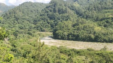 Bosque natural en riberas río Nizao hasta Las Avispas impresiona visitantes de Ocoa y turistas