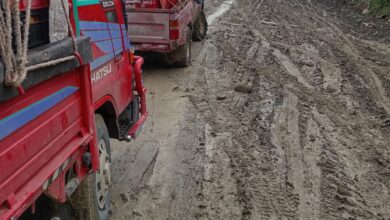 Derrumbe de piedras en la Mesa de Domingo, El Pinar, impide transporte de productos