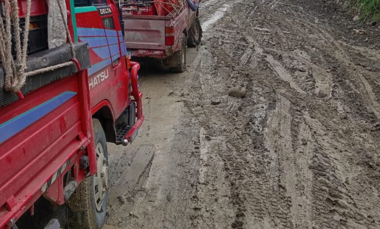 Derrumbe de piedras en la Mesa de Domingo, El Pinar, impide transporte de productos