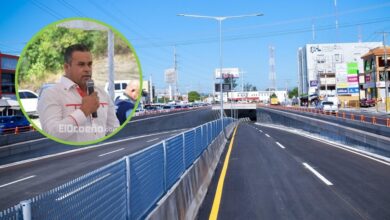 Empresario agrícola Ocoa destaca impacto positivo del paso a desnivel de la Isabel Aguiar (Pintura)