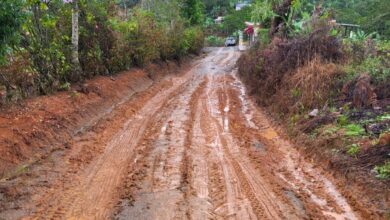 Camino La Colonia en Rancho Arriba en condiciones criticas; harán levantamiento