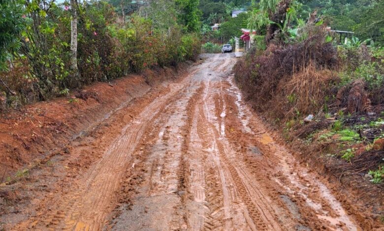 Camino La Colonia en Rancho Arriba en condiciones criticas; harán levantamiento