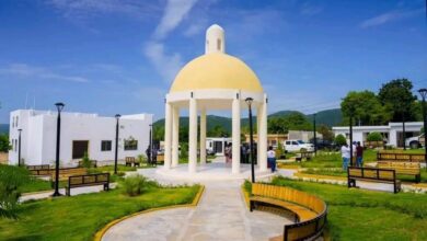 Parque El Pinar