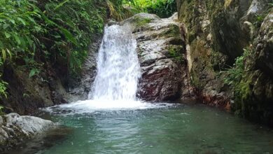 Rancho Arriba, potencia ecoturistica