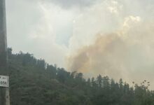 Sectores Ocoeños piden mayor protección recursos naturales