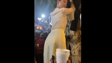 El fenómeno viral de coreana en pleno teteo en parque Libertad
